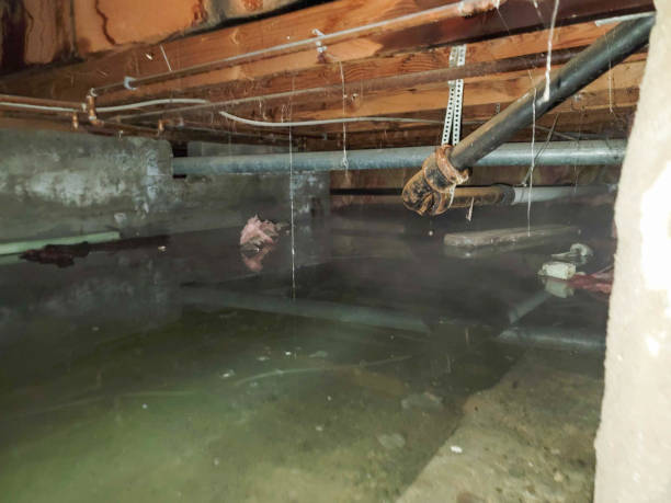 Best Flooded house restoration  in Wilson, OK