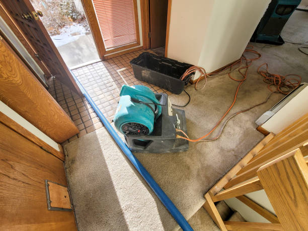 Best Local water damage restoration  in Wilson, OK