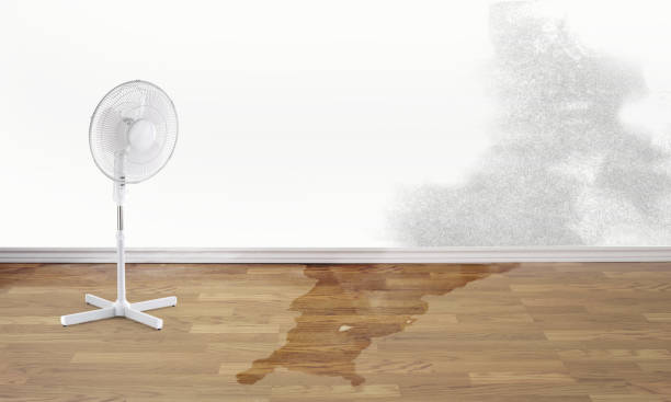 Best Commercial water damage restoration  in Wilson, OK