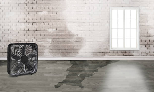 Sewage cleanup and water damage restoration in Wilson, OK