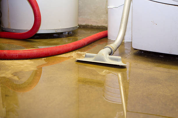 Best Water damage contractors near me  in Wilson, OK