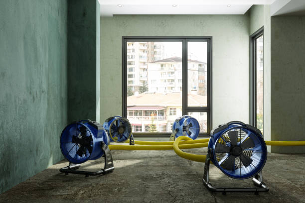 Best Sewage cleanup and water damage restoration  in Wilson, OK